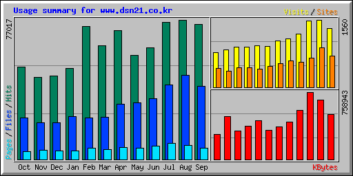Usage summary for www.dsn21.co.kr